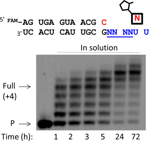 Figure 5