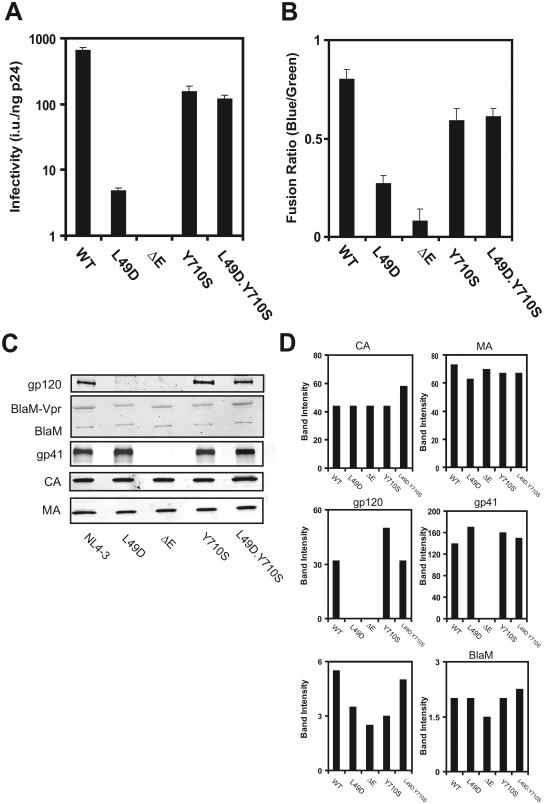 FIG. 9.