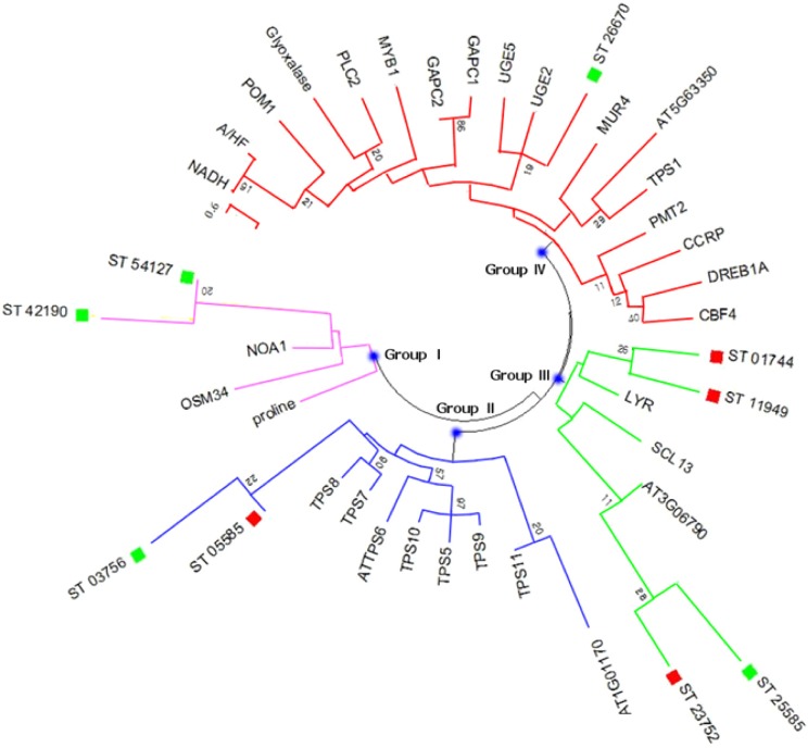 Figure 4