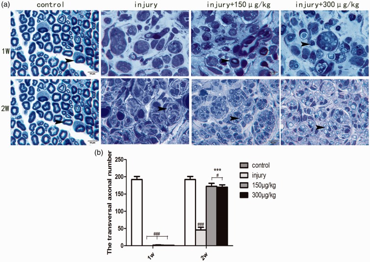 Figure 3.