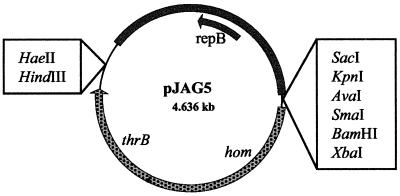 FIG. 1.