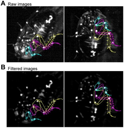 Figure 2