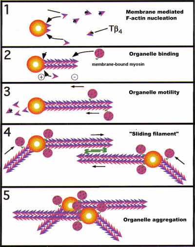 Figure 10.