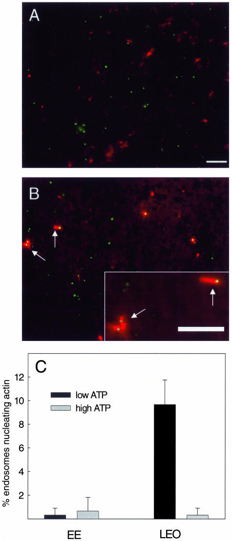 Figure 9.