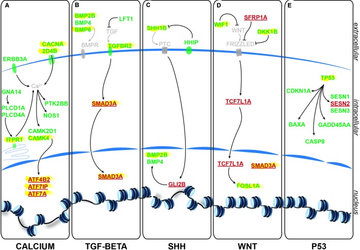 FIGURE 4