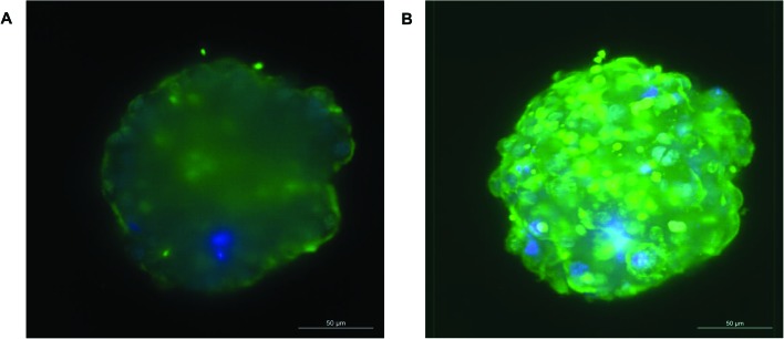 Fig. 10