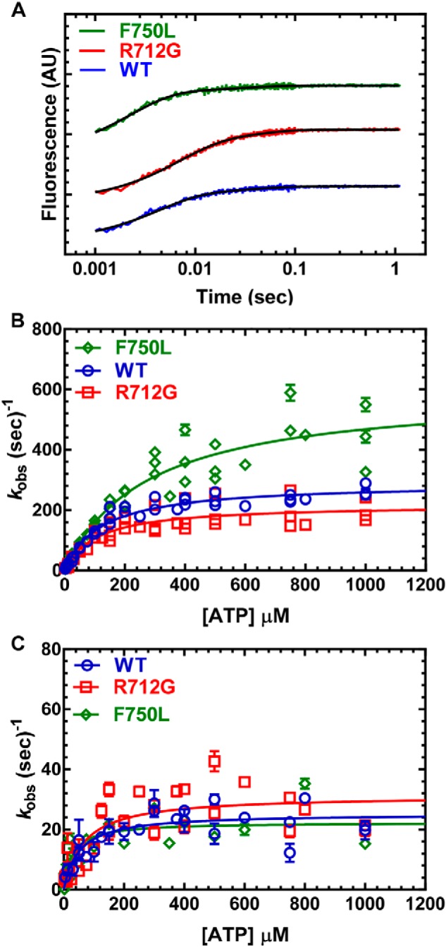 Figure 5.