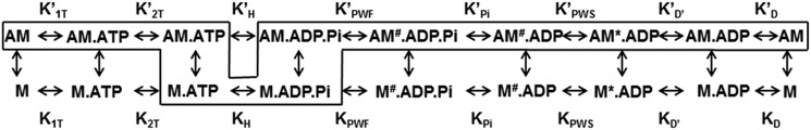 Scheme 1.