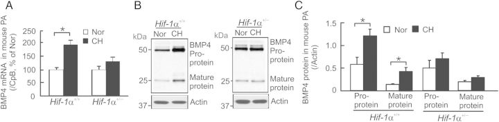 Figure 6