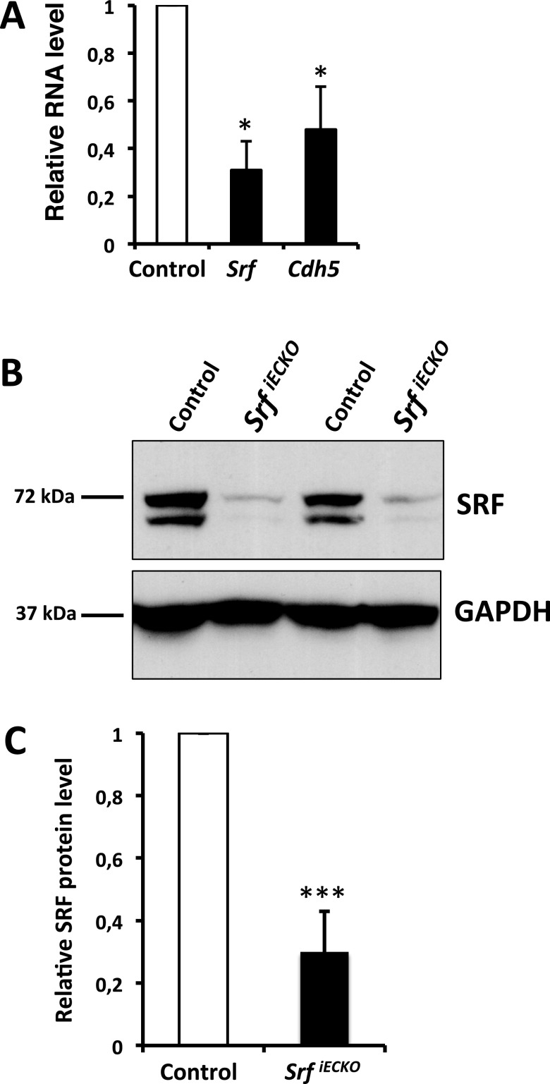 Fig. S7.