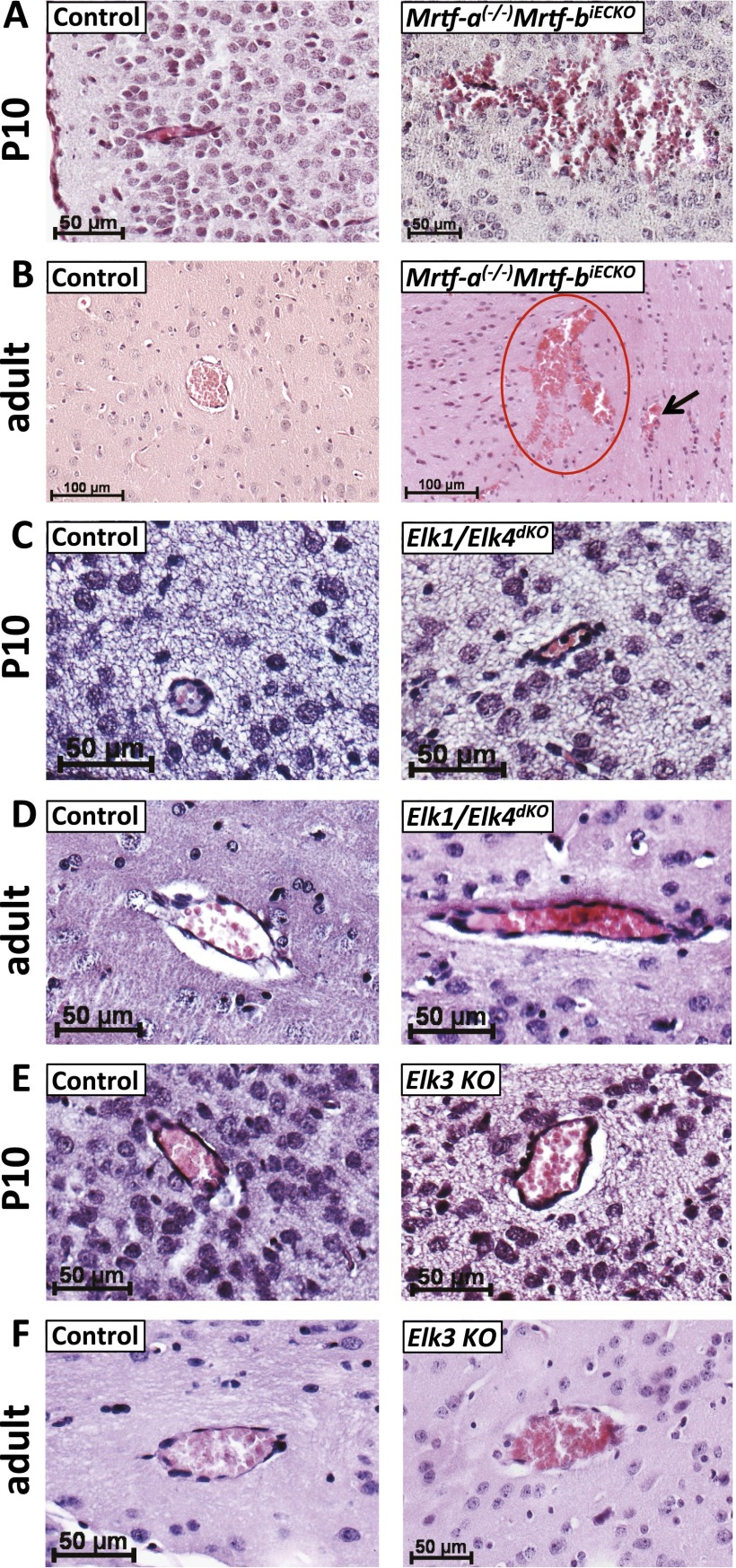 Fig. S6.