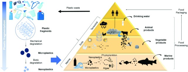 FIGURE 1