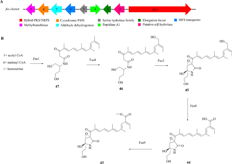 Fig. 12