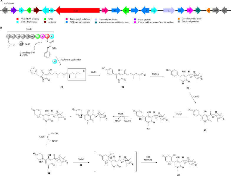 Fig. 13