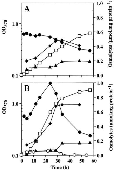 FIG. 5