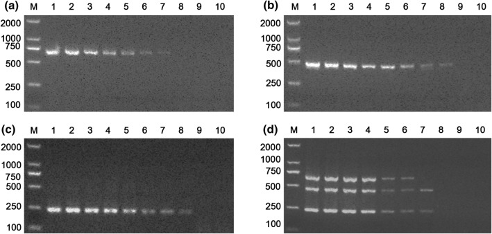 Fig. 2