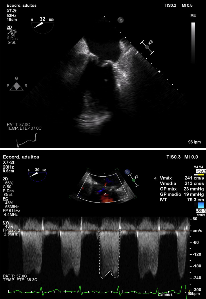 Figure 1