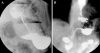 Fig. 5