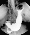Fig. 2