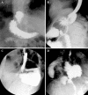 Fig. 4
