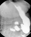 Fig. 3