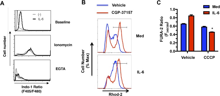 Figure 4—figure supplement 1.