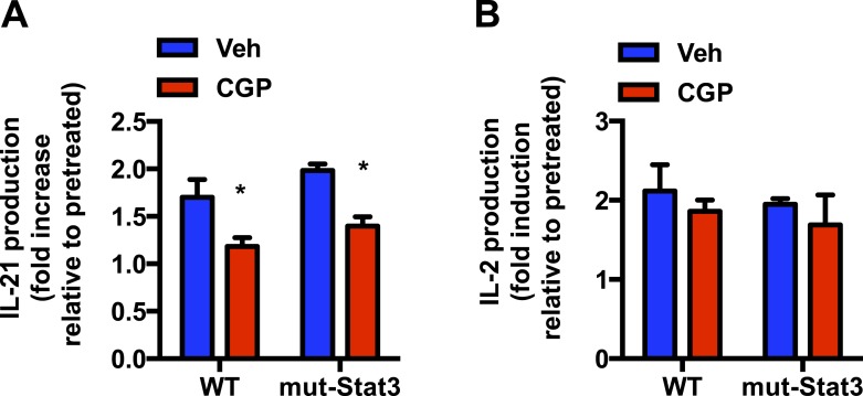 Figure 6—figure supplement 1.