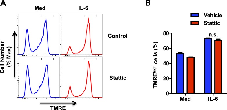 Figure 5—figure supplement 1.