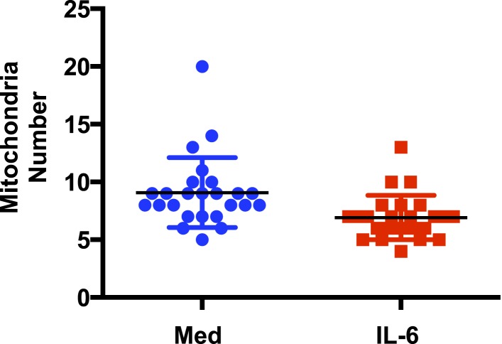 Figure 2—figure supplement 1.