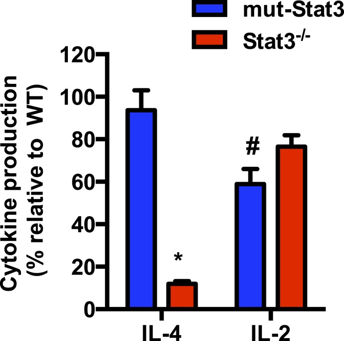 Figure 6—figure supplement 2.