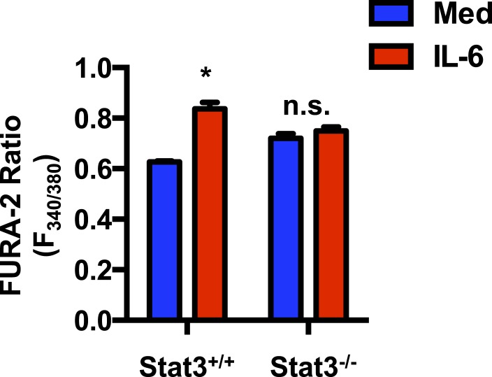 Figure 5—figure supplement 2.