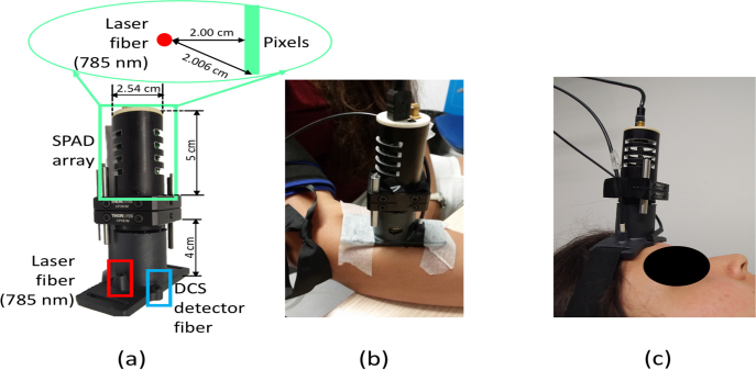 Fig. 3