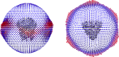 Figure 2—figure supplement 1.