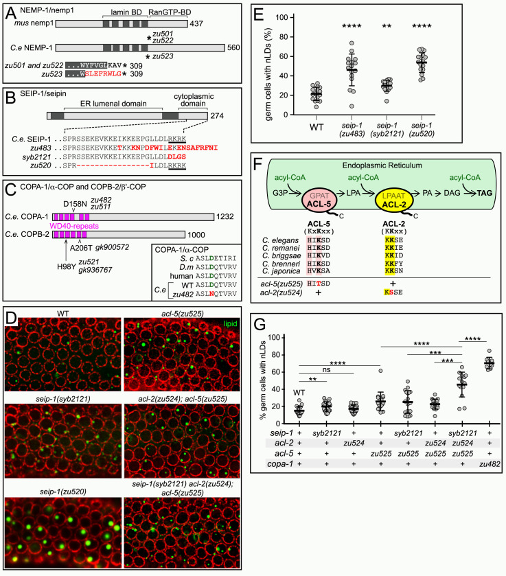 Fig 14