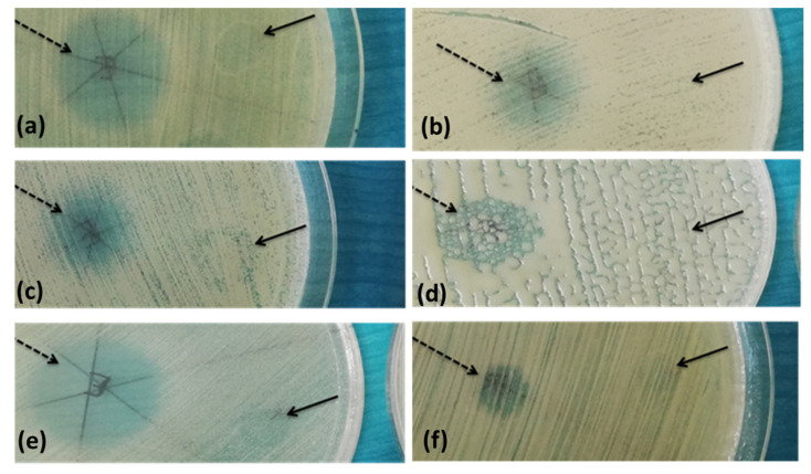 Figure 5