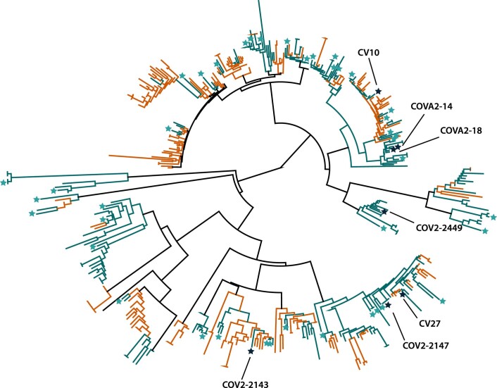 Extended Data Fig. 1