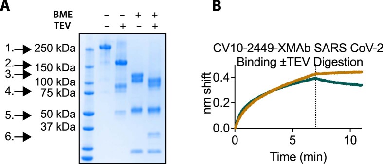 Extended Data Fig. 7