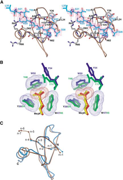 Figure 5.