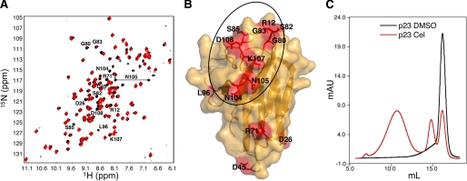 FIGURE 4.