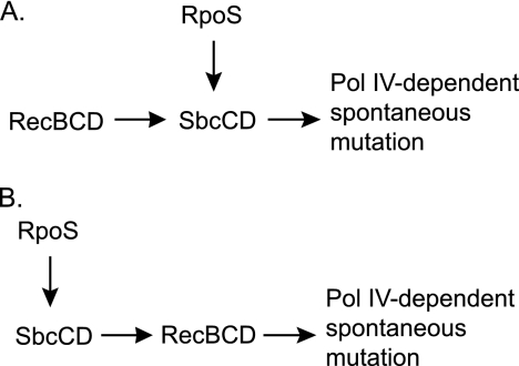 FIG. 10.