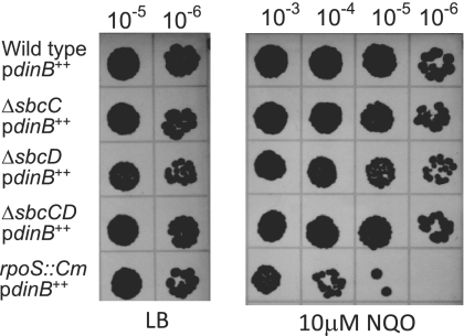 FIG. 5.