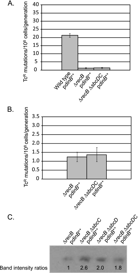 FIG. 6.