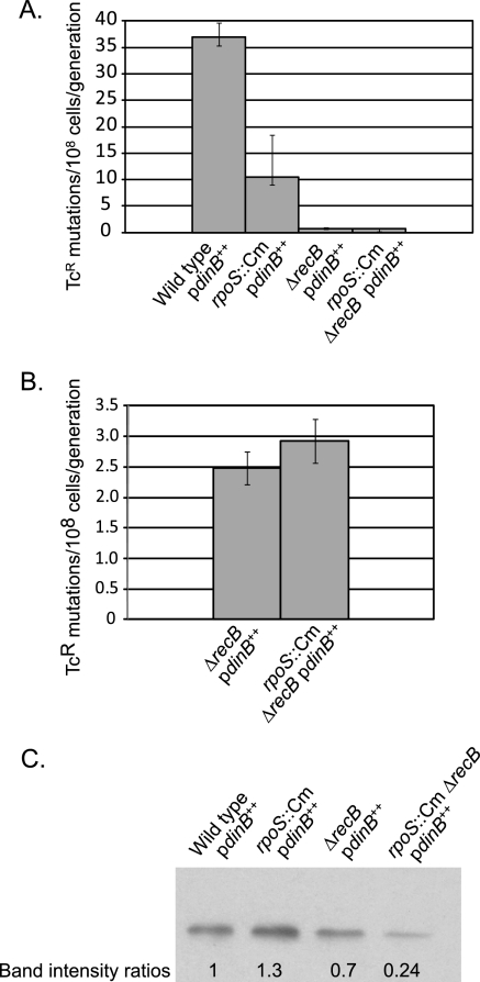 FIG. 8.