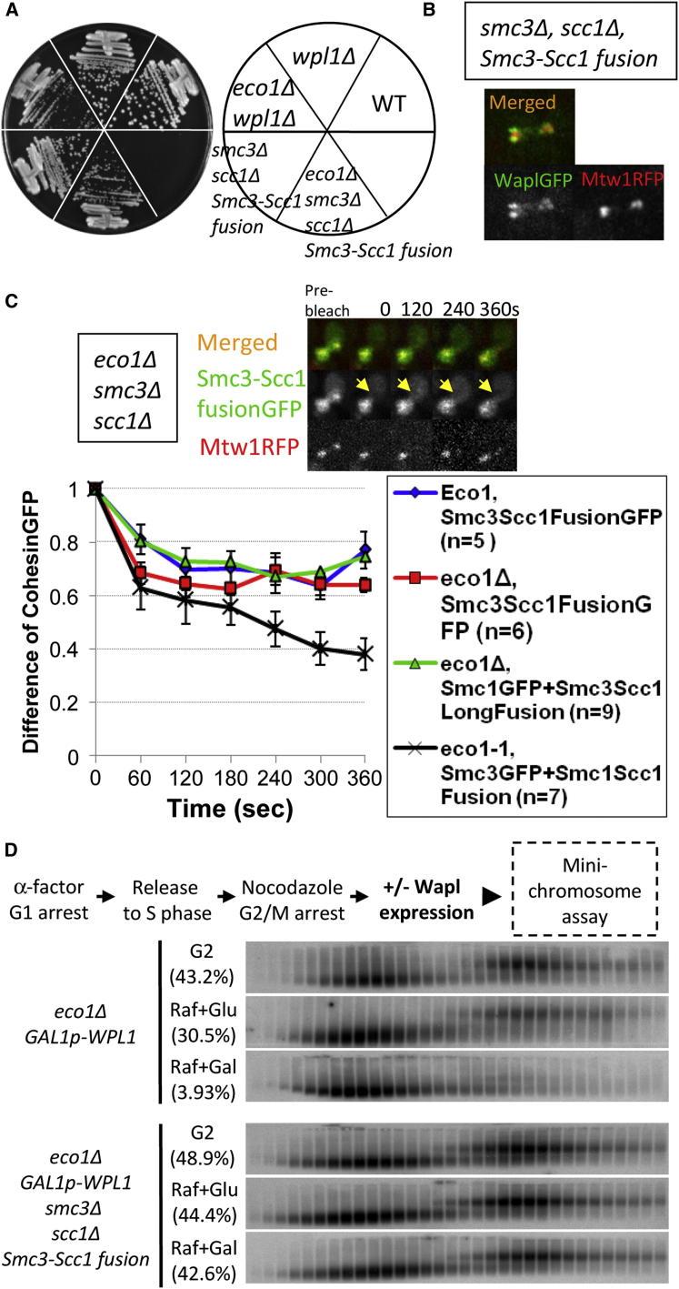 Figure 6