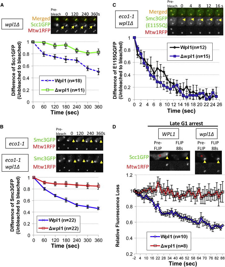 Figure 4