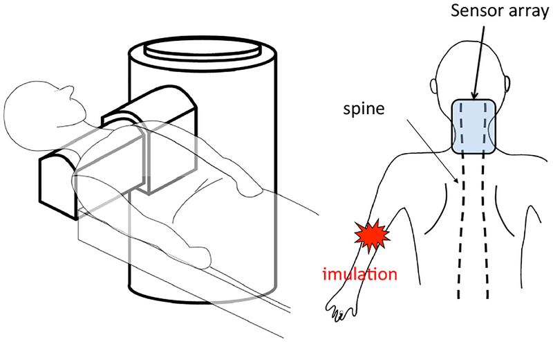 Figure 10: