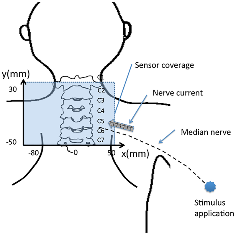 Figure 13: