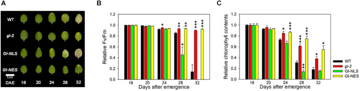 FIGURE 2