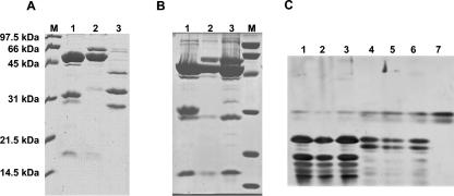 FIG. 4.