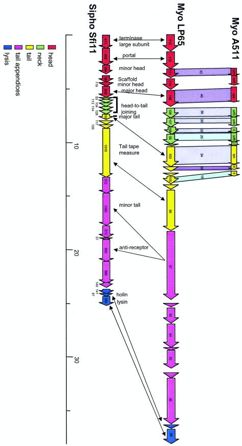 FIG. 7.